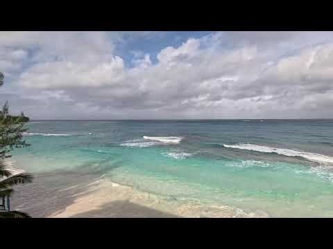 Bahamas Live Beach Cam #Nassau 🇧🇸#Bahamas 🏴‍☠️