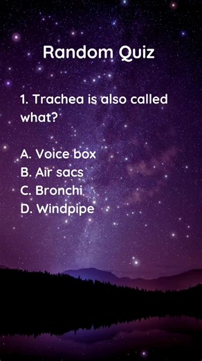 Ready to flex those brain muscles? See if you're as clever as you think with our challenging quiz! 💪 🧠 #ThinkYoureSmart #ProveItOrFold #learningadventures #poweroflearning #reelsfb #reelsviral #quizinstagram #education #pubquiz #fyp #quiznight #knowledge #facts #quiz #QuizTime #Quizzes #trivia #trivianight #TriviaTime #TriviaTuesday #TriviaGame #factsdaily #factsonly #fact #factsoflife | Clever & Wise Quiz