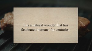 Can You Eat Honeycomb? Press To Cook