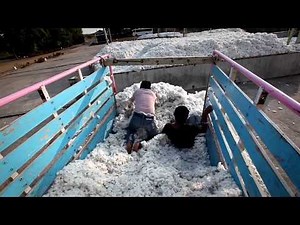 Coop Naturaline - bio & fair: Wo kommt Maja's T-Shirt her?