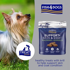 Our Mackerel Morsels are tasty fish-based biscuits made with delicious mackerel and beneficial omega 3. These treats are also further enhanced with krill, a superior and more easily absorbed source of omega 3 to help support skin and coat condition. Find the range here: https://tinyurl.com/57z2976a #Skinandcoat #Omega3 #Fish4Dogs #treatsmart | Fish4Dogs