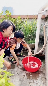 1.7M views · 6.5K reactions | Oh~ I never imagined pig intestines could be cleaned like this; this new brain is so clever and capable! #Children #Invention #Funny #Happy #littleyangshow #fblifestyle | Little Yang Show | Facebook