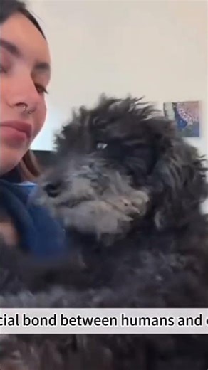 dog hugs love #viralvideo #doglove