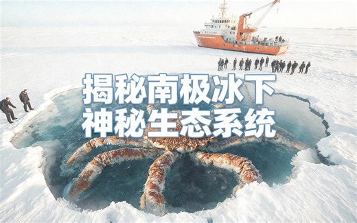 [中配]揭秘南极冰下神秘生态系统 - BRIGHT SIDE