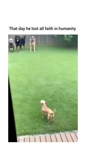 MEMELAND on Instagram: "The “Blink-Shift Delay” Glitch That Has Gen Z Losing It Over Their Own Eye Movements 👁️⚡😵‍💫 There’s a trend going viral right now called the Blink-Shift Delay, and it’s making people feel like their eyeballs are running on outdated firmware. The challenge is simple: record yourself talking, laughing, or just vibing. When users slow the clip down, they’re noticing a split-second delay where their eyes seem to look in a new direction before the rest of their face reacts.