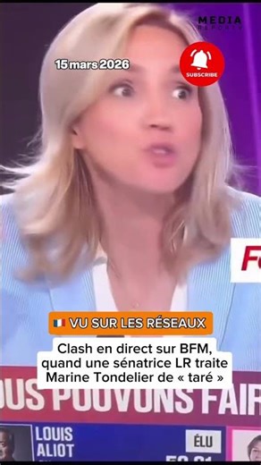 Live on BFM: a very heated exchange between a LR senator and Marine Tondelier