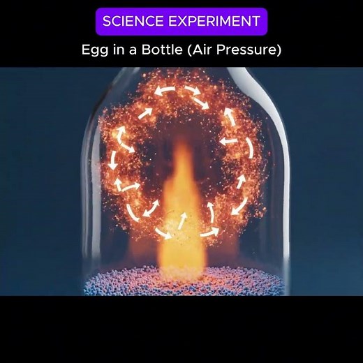 Egg in a Bottle | Amazing Air Pressure Experiment | Science Trick Explained