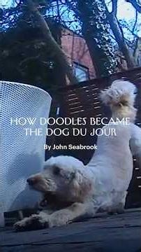 How Doodles Became So Popular—and Controversial