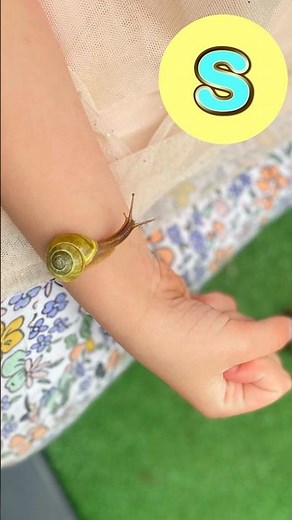 A-Z Garden 🐌 🧸 #abcd #kidssongs #kidsvideo #song #children #kids #toddlers #explore #abc #garden