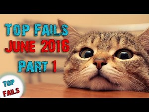 Best Fails June 2016 Part 1 ||Top Fails||