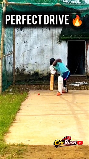 Perfect Cover Drive Practice in Nets 😍🔥 Pure Timing Shot! #cricket #shorts #coverdrive