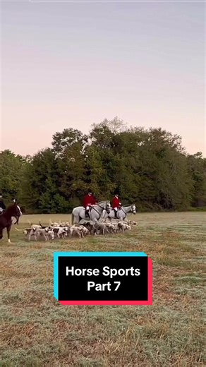 Fox hunting is a traditional equestrian sport that involves mounted riders and a pack of hounds working together to track and chase a scent, usually that of a fox. Historically, it was a means of controlling fox populations and protecting livestock, but it has evolved into a recreational and social activity. The sport typically involves the following elements: 1. Hounds: A pack of trained scent hounds, often foxhounds, is used to follow the scent trail left by a fox. These hounds are bred and tr