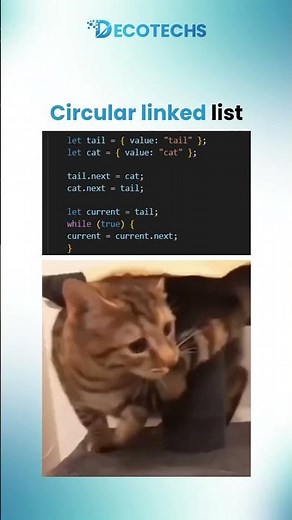 Circular Linked List Explained in Seconds 🔁