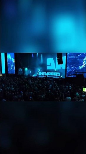 Crowd Goes Wild at Die Antwoord's concert