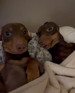 Lucy Robson on Reels