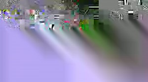 313K views · 12K reactions | David Lee Roth on Reels | Facebook