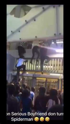 Davido do people boyfriend and girlfriend don turn to spider men 😂😂😂 | Jeremiah