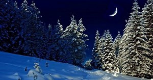 U.S. steps up winter-warfare training * WorldNetDaily * by Around the Web