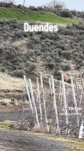 Duendes#tiktokvideos #caminatas #senderismo #aventuras #eldenayarit #miedo #foryoupageofficiall #malasvibras #paranorma #eldenayarit #capcutvelocity #capcut #3b #1b #2 #