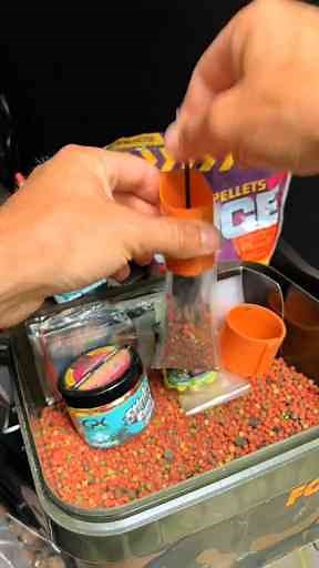 Freshwater vs. Saltwater Fishing Which Style Works Best