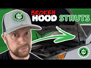 How to Replace Vehicle Hood Struts! [EASY]