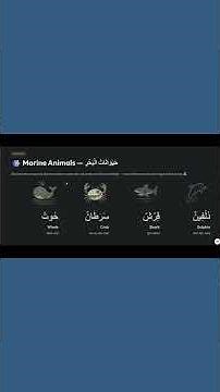 Learn Animal Names in Arabic 🐾 #viral