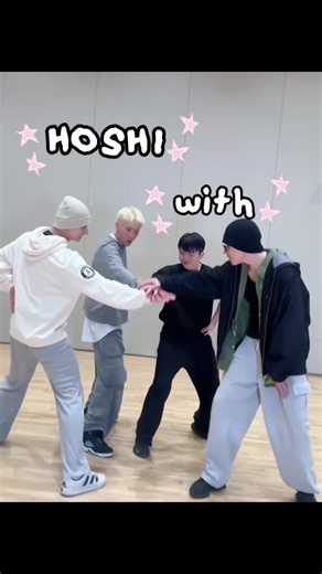 Our Cats Line: Hoshi and Seventeen Fans' Cat Moments