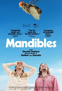 "Mandibles" (2021) Review: An Unfunny and Aimless Comedy