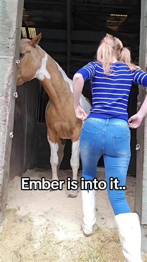 Ember is one of over 50 horses whose lives I've been able to save through your support. We're just stopping in to say thank you to everyone who subscribed to my dirty dancing site. You're making a difference in her life, and so many others!