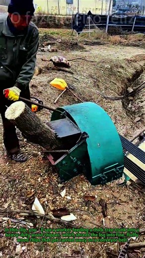 Turning Logs Into Mushroom Food! (How We Prep Fungi Substrate) #MushroomFarming