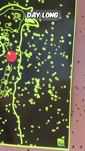 Testing the ULTIMATE Turkey Hunting Pattern #turkeyhunting