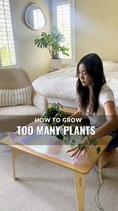 44K views · 4K reactions | Note to self: Don’t propagate unless...