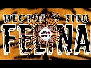 FELINA - Reggeaton Antiguo - Hector y Tito. Remix