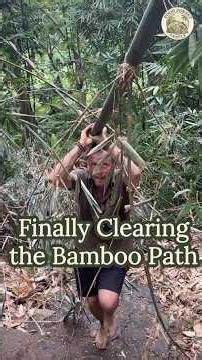 Finally Clearing the Bamboo Path | Food Forest Family