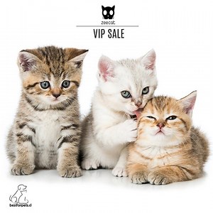 54K views · 340 reactions | ¡Hoy tenemos un 20%OFF para tu michi!...