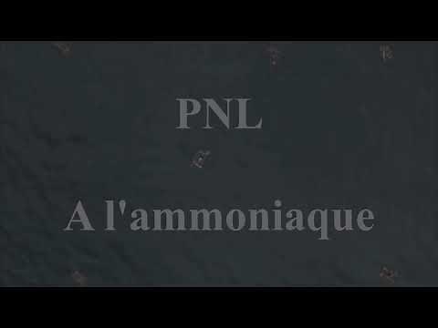 PNL - A l'Ammoniaque [INSTRUMENTAL remake sample]
