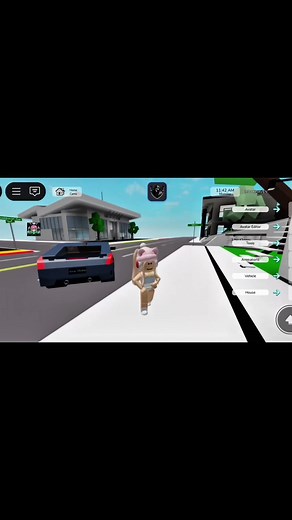 Brookhaven Script Premium Gamepass Overview