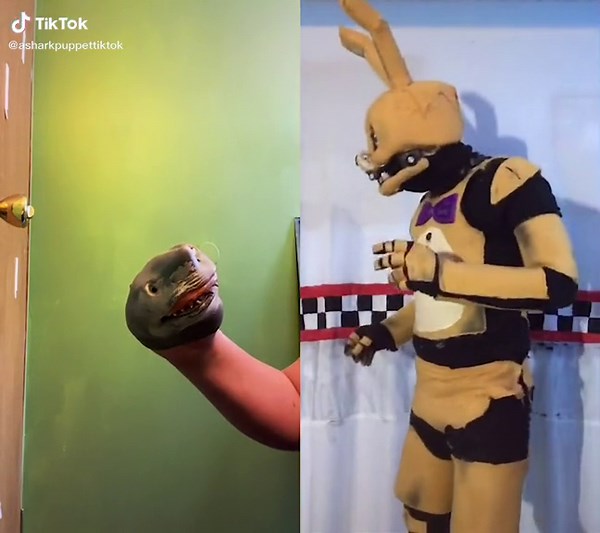 #duet with @springmatronic44 your not getting it #wifipassword #sharkpuppet #fnaf #yeah