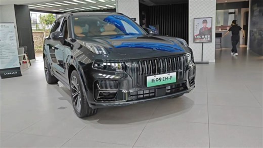 新领克 09EMP，OTA 升级内容