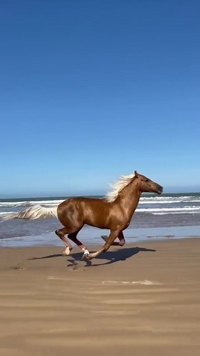 Can you push 3 buttons before I get to you?