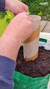 How to grow spinach in a sack — Part 2