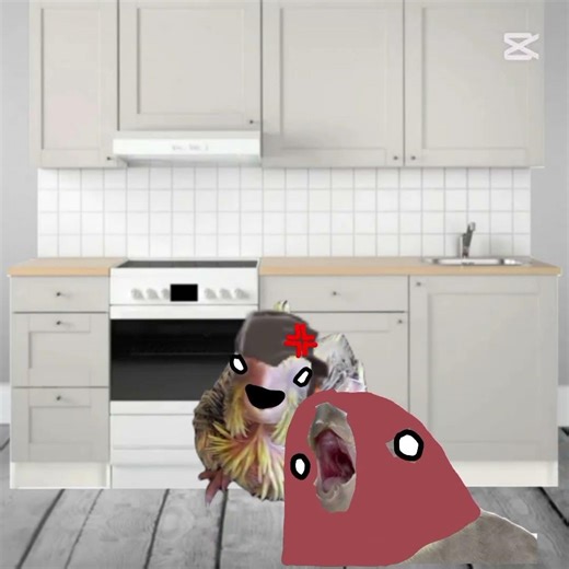 Say goodbye to, Your Kneecaps, Chucklehead! (•ˋ _ ˊ•) #memes #funny #idk #capcut #cockatiel #birbs