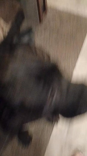 Brett Johnson on Reels