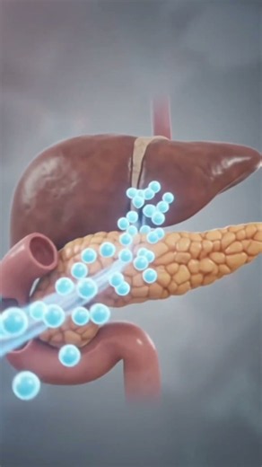 What happens to your body 60 minutes after eating ultra-processed food? 🧬 #UltraProcessedFoods #food