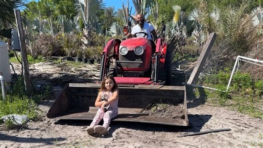 Rising gas prices impact Plant City palm tree nursery