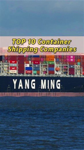 NO.9 Container shipping company. Yang Ming. #yangming #foryoupage #4upage #oceanfreight #seafreight #logistics #shipment #transportation #fypシ゚viral