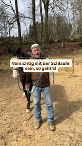Folge uns für Training mit Sicherheit und Verstand 🐎 Über die Schlaufe wird oft diskutiert, und viele raten grundsätzlich davon ab. Entscheidend ist jedoch, wie sie genutzt wird. Richtig gewickelt kann sie sich im Ernstfall aus der Hand lösen und so Verletzungen vermeiden. In diesem Video zeigen wir dir, worauf es wirklich ankommt, damit die Schlaufe dir Sicherheit gibt und kein Risiko wird. War dir das so schon bewusst? Schreib es uns gern in die Kommentare 👇 #pferdesicherheit #seilhandling #
