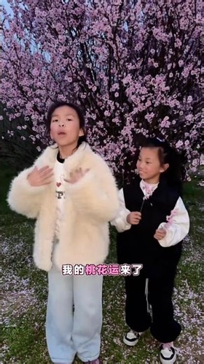 Springtime Delight: Peach Blossoms in Full Bloom - Douyin's Hit Song