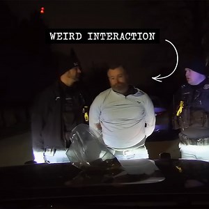 Confusion and Inebriation: Expired Plate & DUI Denial | Genius Cute Plus