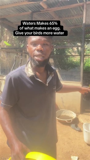 The Importance of Water in Poultry Farming for Layers